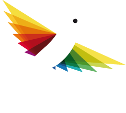 VIDIERRE